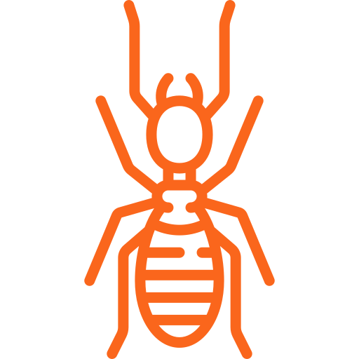 Damages caused by termite’s infestations Damages caused by termite’s infestations